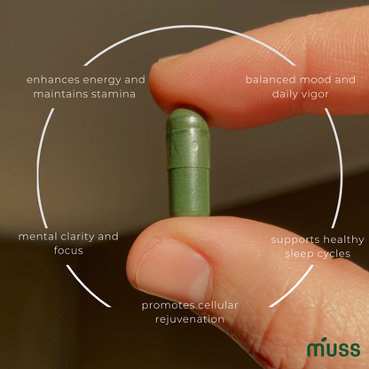 MUSS 3A ANTIOXIDANT