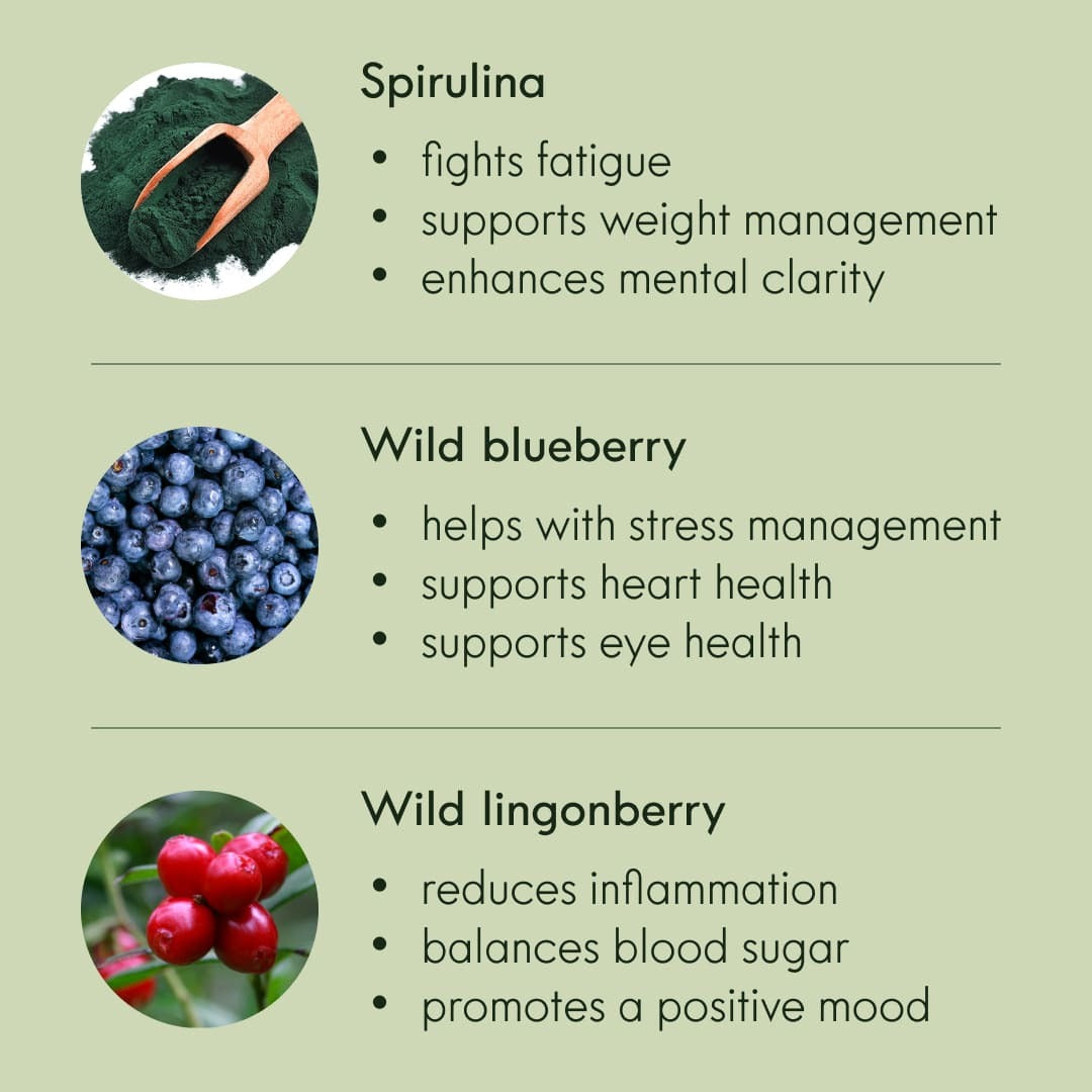 MUSS 3A ANTIOXIDANT